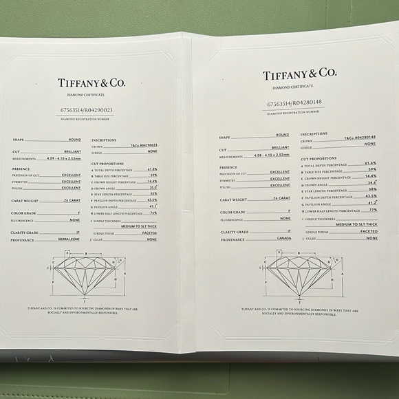 Tiffany & Co. Silver Solitaire Earrings - Picture 12 of 16